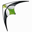 Guenther 1094 - Sport-Lenk-Drachen Moonloop 100x56cm