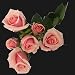 40 Stems of Valentine's Day Pink Spray Roses, Buy 20, Get 20 FREE. ONLY BY SPRING IN THE AIR. ORDERS RECEIVED BETWEEN JAN 29TH AND FEB 8 WILL BE DELIVERED ON VALENTINES DAY