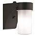 Cylinder Wall Light, 6-1/2" L x 4-1/2" W
