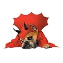 Devil Pet Costume