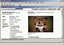 Thayer Birds of My Region Version 3.5 CD-ROM