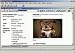 Software : Thayer Birds of My Region Version 3.5 CD-ROM