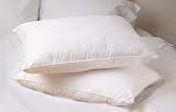 MARRIKAS ALL NATURAL FEATHER DOWN 20x30 QUEEN PILLOW PAIR , QUEEN