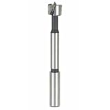 WoodRiver 20mm Forstner Bit