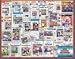 University of Florida Gators 20 x 16 inch Newspaper Collage