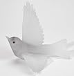 Lukeke Bird