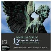 12 Engel f�r das Jahr. 1 CD: Wegbegleiter im Alltag. 50 Cent des Kaufpreises gehen an eine Wohlt�tigkeitsorganisation