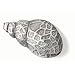 Ocean 64-146 59mm Babylon Shell Zn28 - Antique Pewter ()