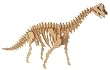 Brachiosaurus Woodkit