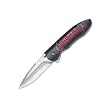 Buck 297G1 Sirus Liner Lock Folding Knife, Assisted Opening with Gothic Logo Handles