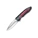 Buck 297G1 Sirus Liner Lock Folding Knife, Assisted Opening with Gothic Logo Handles