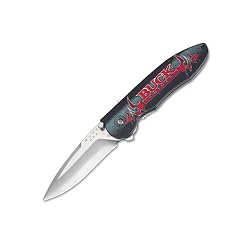 Buck 297G1 Sirus Liner Lock Folding Knife, Assisted Opening with Gothic Logo Handles