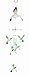 Spoontiques Hummingbird Aluminum Wind Chime