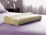 Embody Queen Size Contour Neck Pillow Memory Foam by Sealy