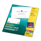 Avery 18163 White Ink Jet Mailing Labels, 2" x 4", 100 per Pack