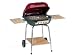 Landmann Square Smoker Barbecue