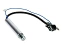 Antennenadapter ISO Winkel VW Audi Skoda Seat Phantomeinspeisung