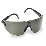 Tools & Hardware : AO Safety 15153 Lexa Safety Eyewear