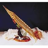 ハクセイ　チョウザメ（台付）No.Ｈ-７