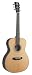 Recording King Classic Series OOO Acoustic Guitar with Herringbone, Solid Mahogany Back & Sides