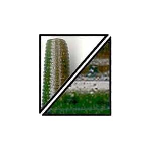 Swimming Senko 5'' 10pk Green Pumpkin Watermelon Laminate