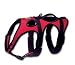 Sporting Goods : Ruffwear - Web Master Dog Harness