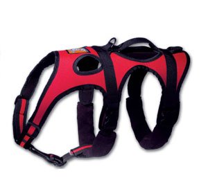 Childrens Toyshop  Sporting Goods : Ruffwear - Web Master Dog Harness