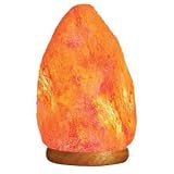 WBM 9-Inch Himalayan Natural Crystal Salt Lamp