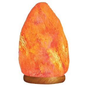WBM 9-Inch Himalayan Natural Crystal Salt Lamp