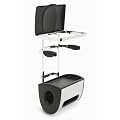 simplehuman Carrier Bag Bin with Bag Holder