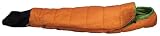 Big Dog 40 Degree Boys Sleeping Bag