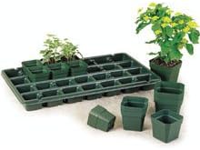 Hummert 12-1250 2.5 in. Kord Pots Green Square 992 Per Case
