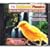 Feathered Phonics Volume 7: The Easy Way To Teach Your Canary To Sing