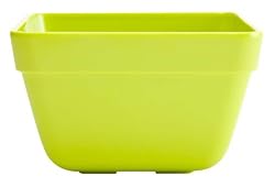 Zak Designs Callaway 5-Inch Individual Bowl, Kiwi