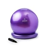  : Danskin Core Ball with Balance Ring