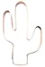 Cactus Cookie Cutter 6.5 Inch Handcrafted in USA by The Fussy Pup