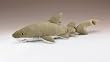Sand Tiger Shark Plush Toy 21" Long