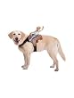 Paper Magic Group Dog Riders Cowboy Pet Costume