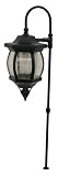 Westinghouse Solar Lighting 7100-08 Pumpkin Diecast Low Voltage Non-Solar Landscape Light in Black w
