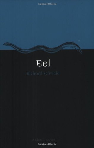 eel reaktion books animal