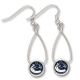 Vancouver Canucks Official Logo Earrings