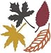 QuicKutz 4-Inch by 4-Inch Die, Fall Leaves