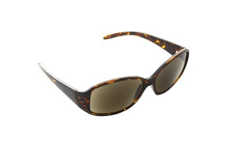 Dr. Dean Edell Fashion Sunlight Readers Plastic 6 Base Single Power Lens no Flash Mirror, + 2.00