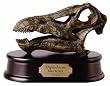 Diplodocus Skull Model
