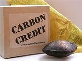 Carbon Credit