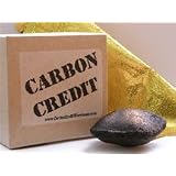 CarbonCredit