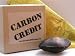 Carbon Credit