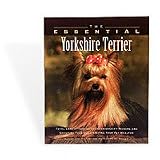 The Essential Yorkshire Terrier