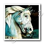 Carousel Horse - 10x10 Iron On Heat Transfer For White Material