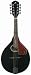 Black Mandolin
